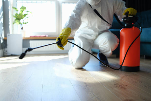 Reliable Odor Removal contractor in Lebanon, NH by Trauma Clean Pros